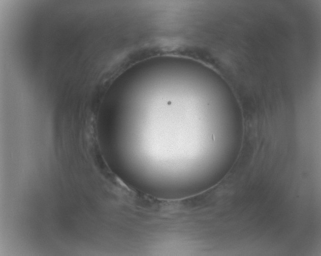 X0000054431349200508121807