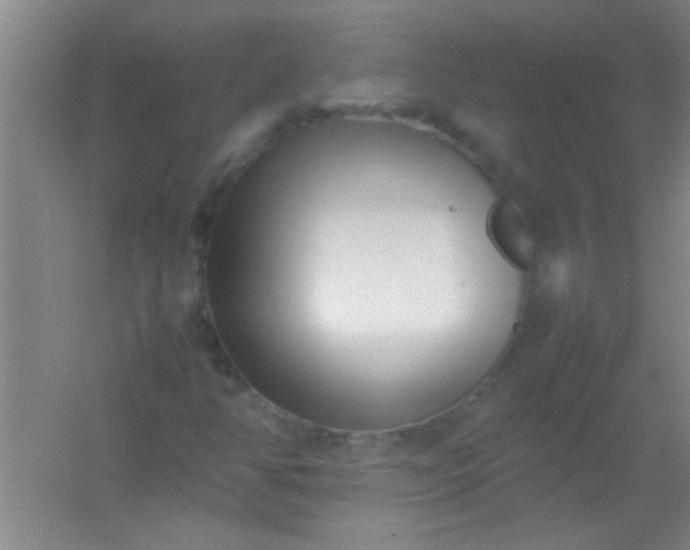 X0000054431350200508121807