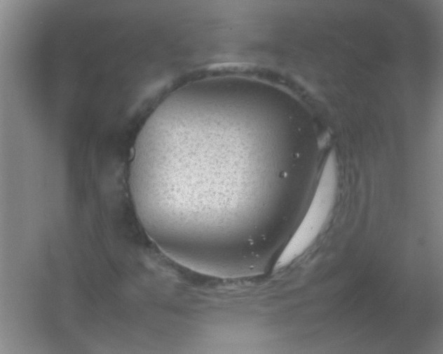 X0000054431351200508121807