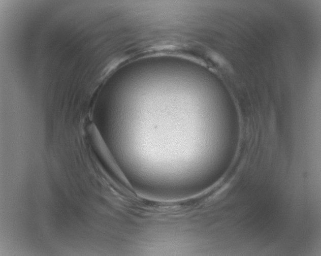 X0000054431353200508121807