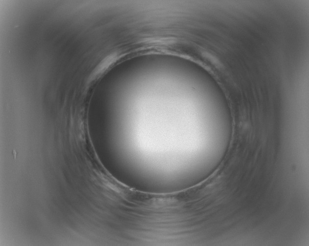 X0000054431354200508121807