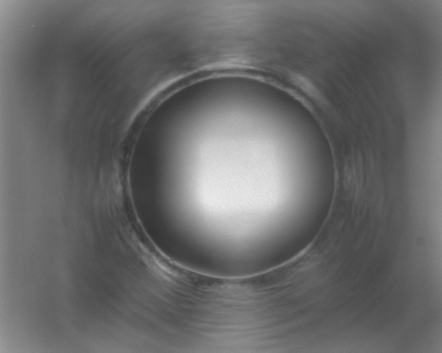 X0000054431356200508121807