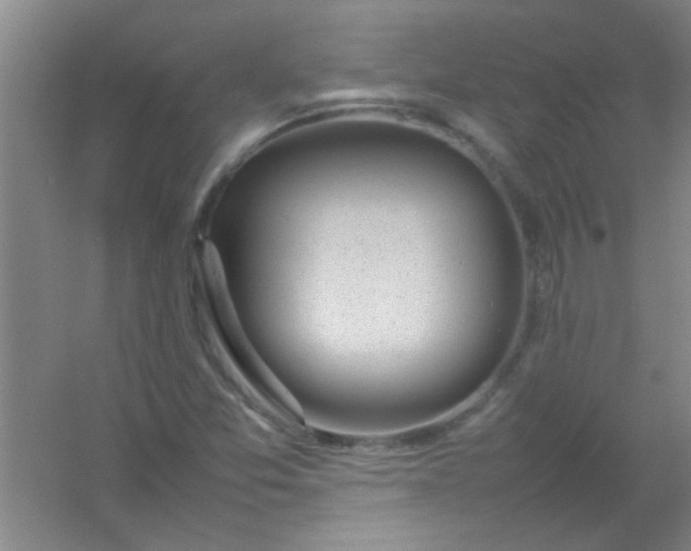 X0000054431357200508121807