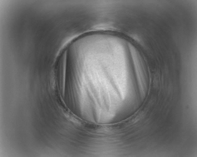 X0000054431358200508121807