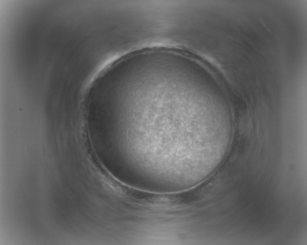 X0000054431359200508121807