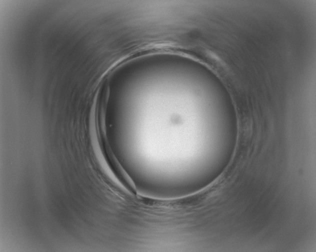 X0000054431361200508121807