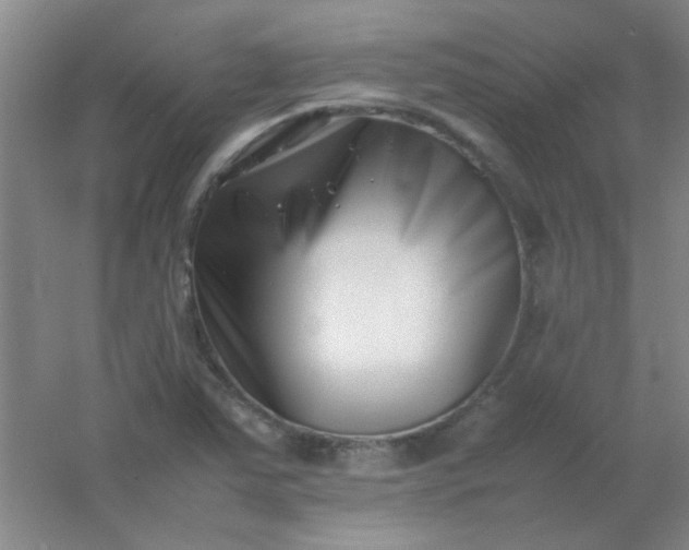 X0000054431363200508121807