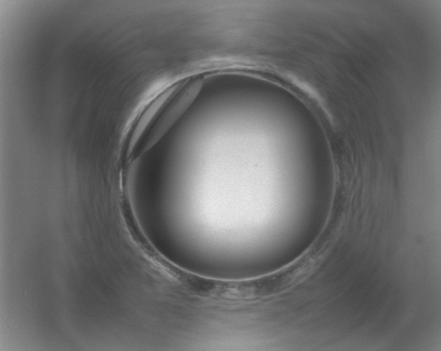 X0000054431365200508121807