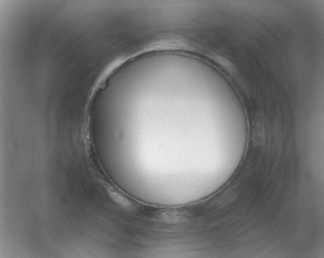 X0000054431366200508121807