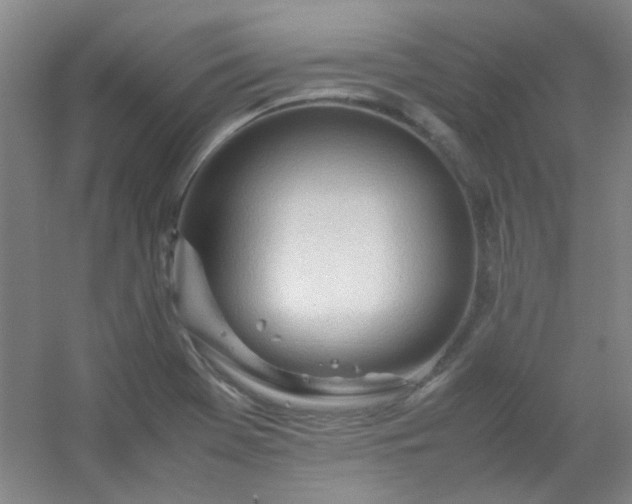 X0000054431369200508121807