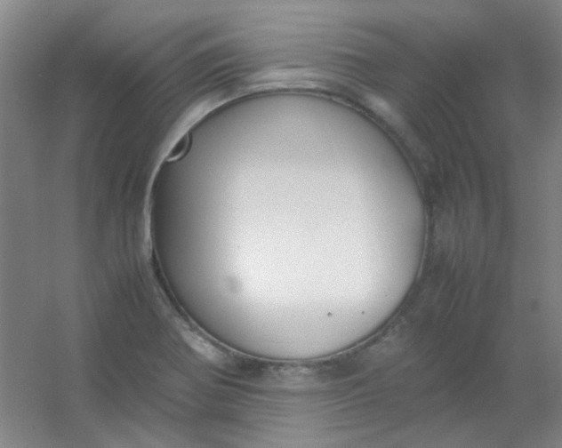 X0000054431370200508121807