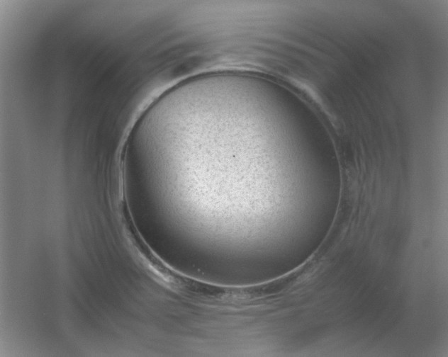 X0000054431371200508121807