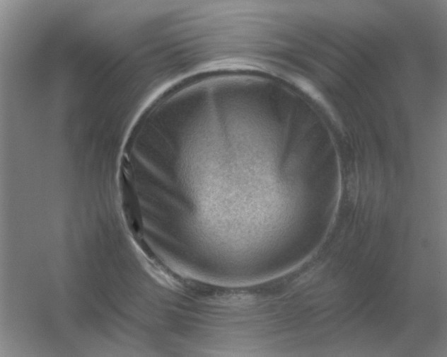 X0000054431372200508121807