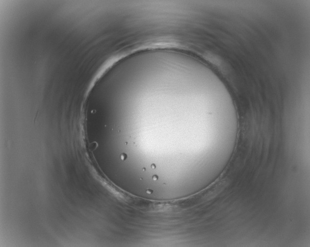 X0000054431374200508121807