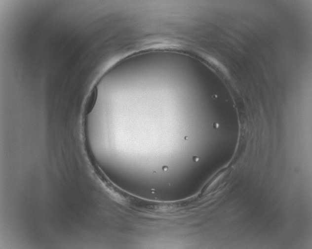 X0000054431375200508121807