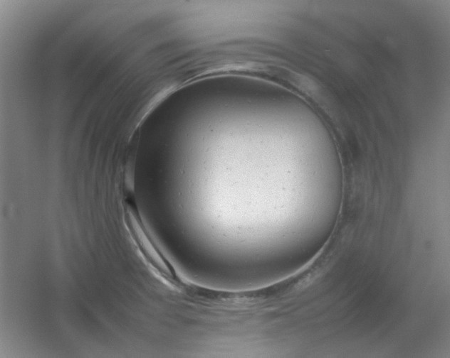 X0000054431377200508121807