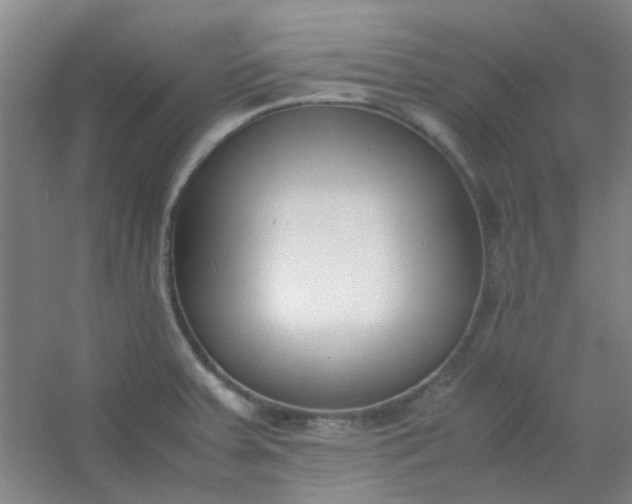 X0000054431379200508121807