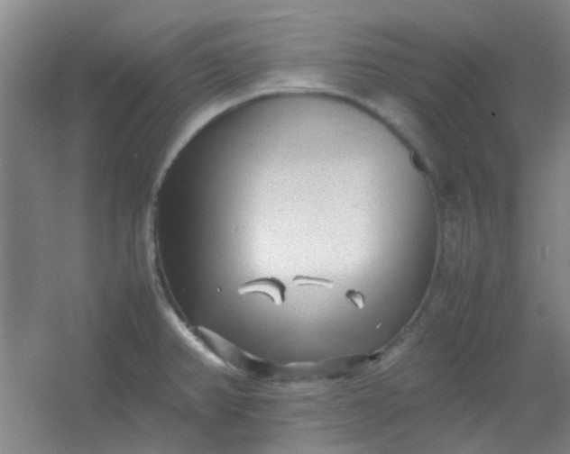 X0000054431382200508121807