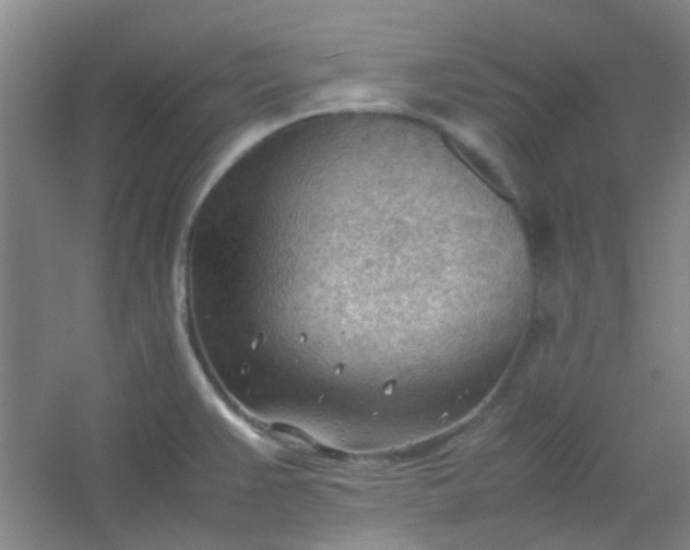 X0000054431383200508121807