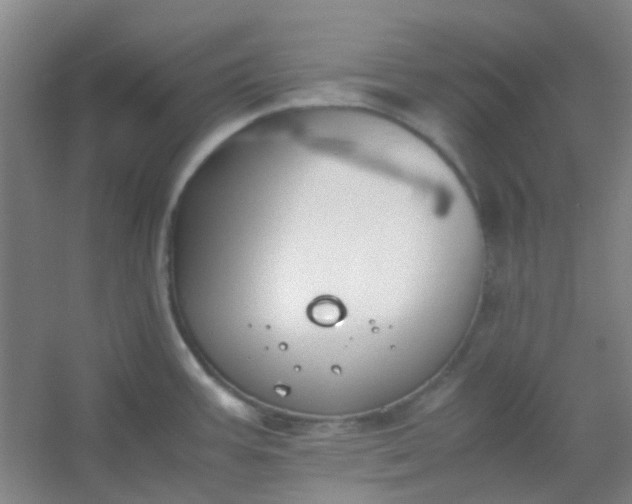 X0000054431387200508121807