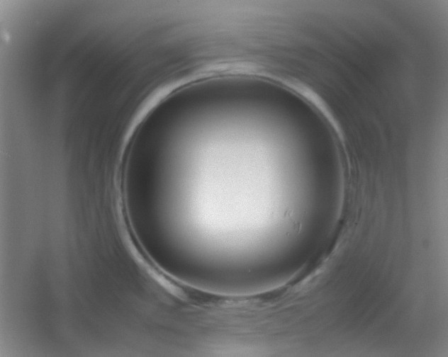 X0000054431389200508121807