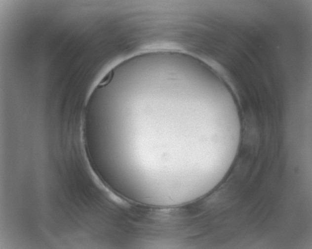 X0000054431390200508121807