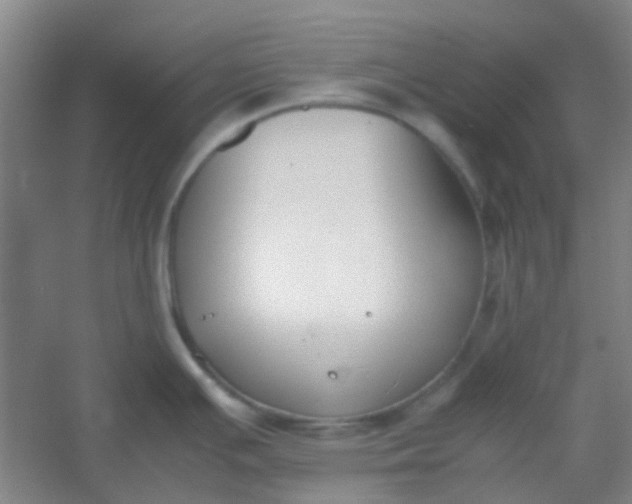 X0000054431391200508121807