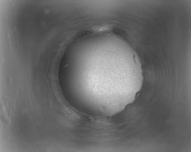 X0000054431393200508121806