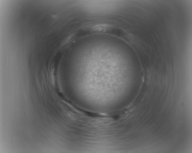 X0000054431394200508121806