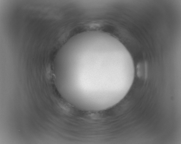 X0000054431395200508121806