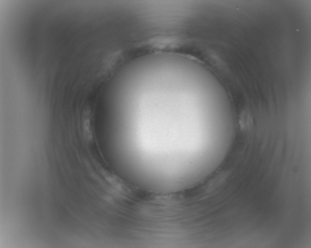 X0000054431396200508121806