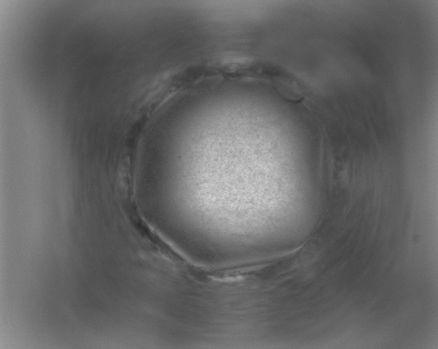 X0000054431397200508121806