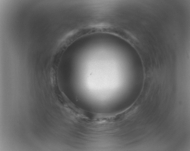 X0000054431398200508121806