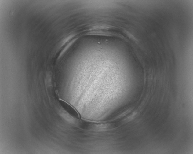 X0000054431401200508121806