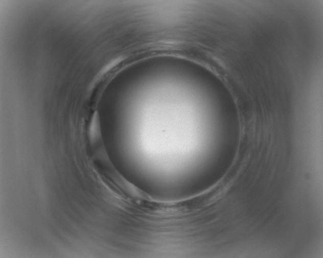 X0000054431402200508121806