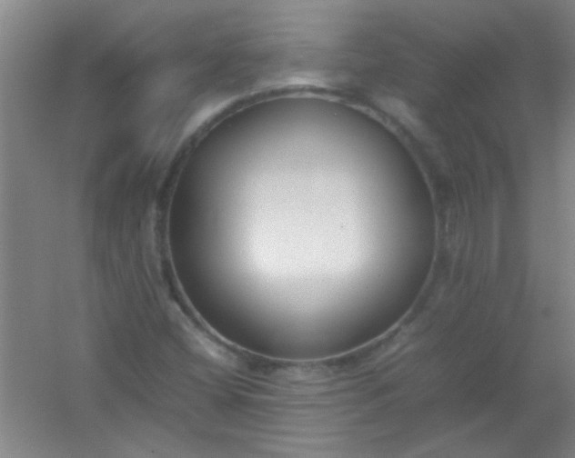 X0000054431404200508121806