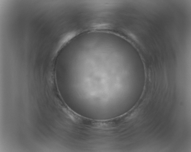 X0000054431405200508121806