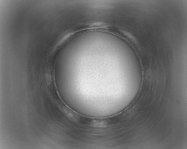 X0000054431407200508121806