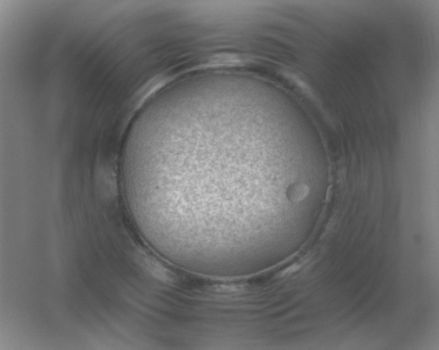 X0000054431409200508121806