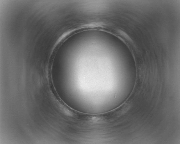 X0000054431412200508121806