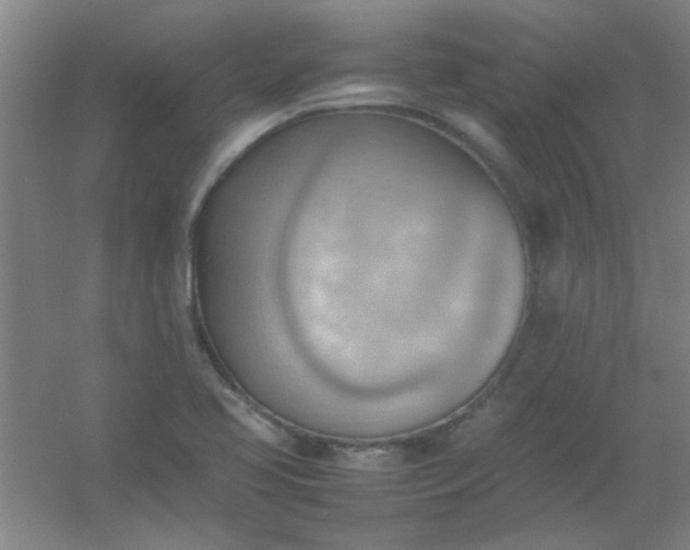 X0000054431413200508121806