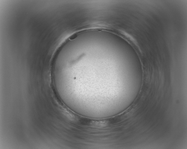 X0000054431415200508121806