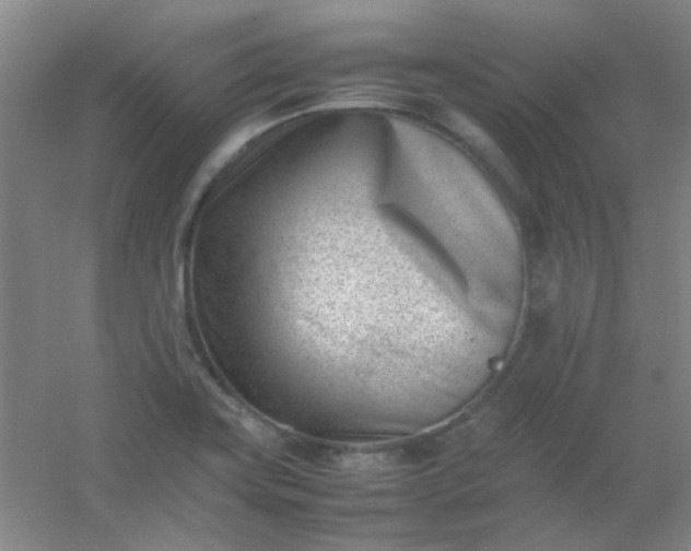 X0000054431419200508121806