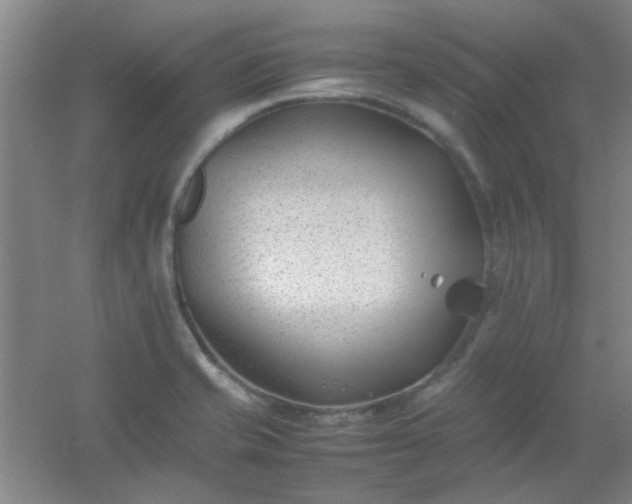 X0000054431421200508121806