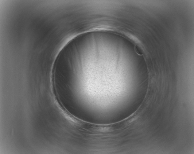 X0000054431423200508121806