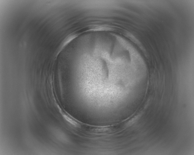 X0000054431425200508121806