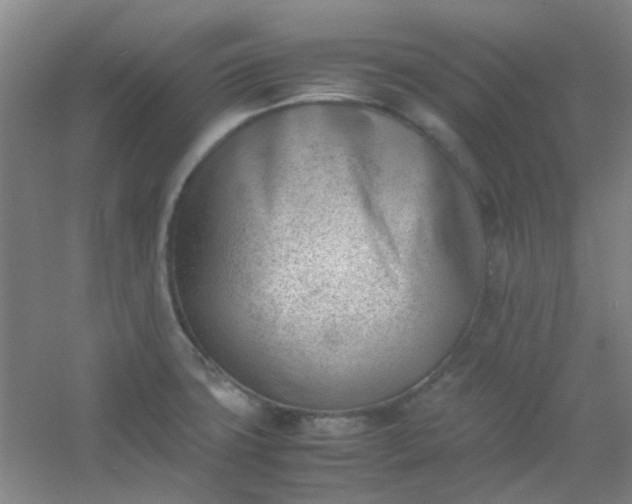 X0000054431427200508121806