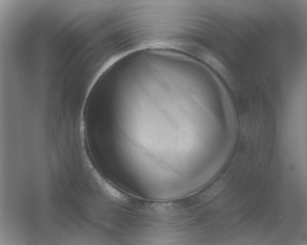 X0000054431428200508121806