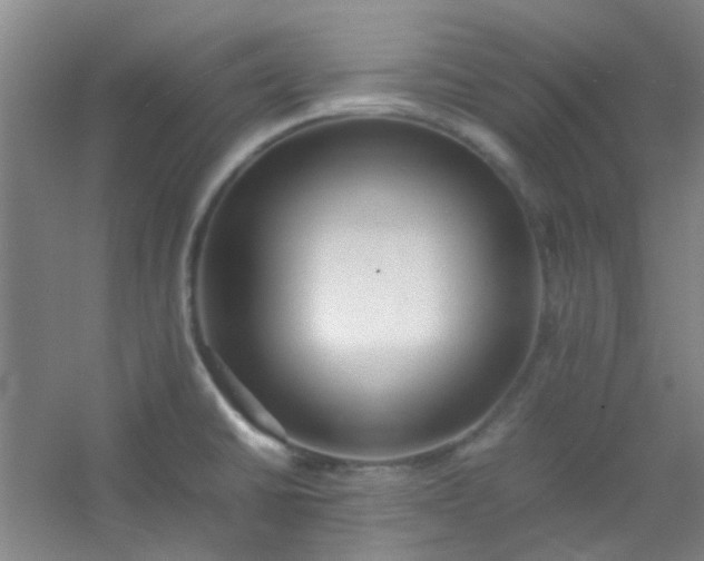 X0000054431430200508121806