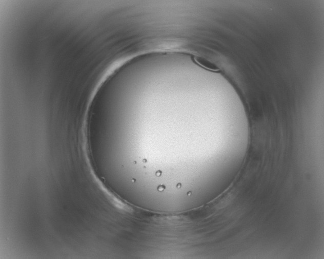 X0000054431432200508121807